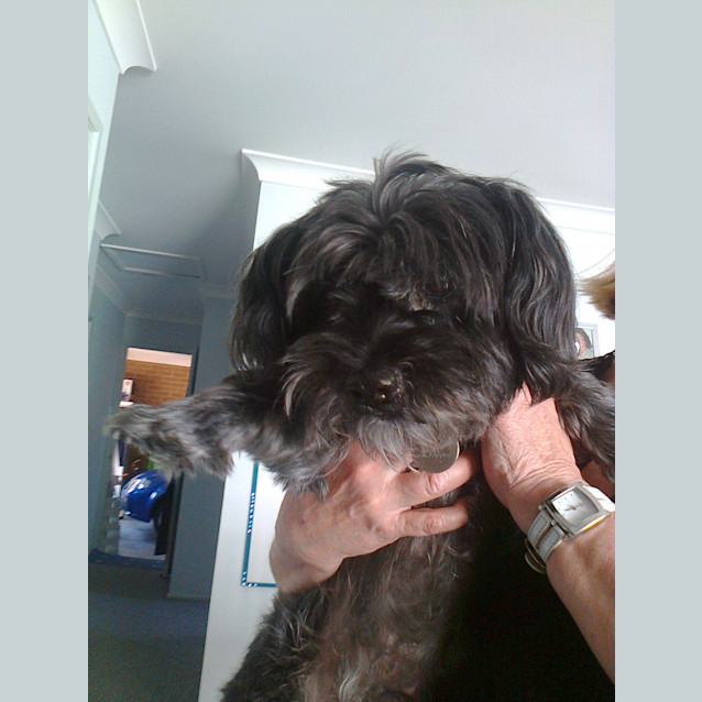 Photo of Buster