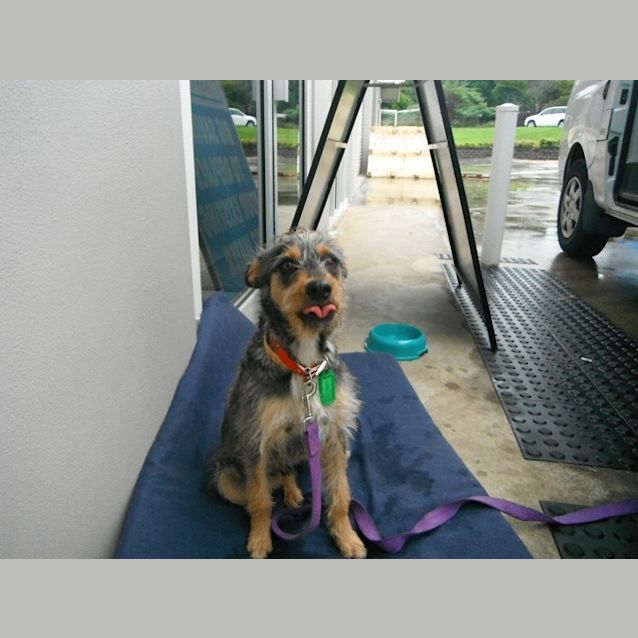 Photo of Ralphie