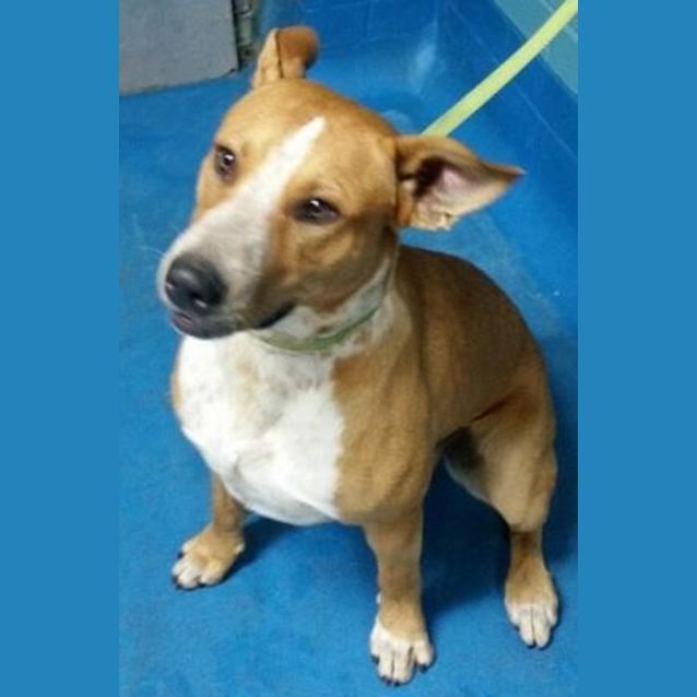 Photo of Twix