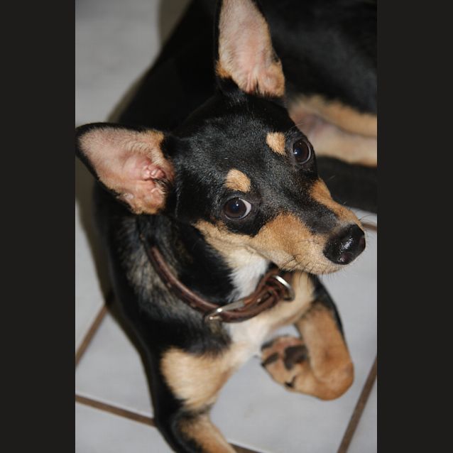 Photo of Jillie