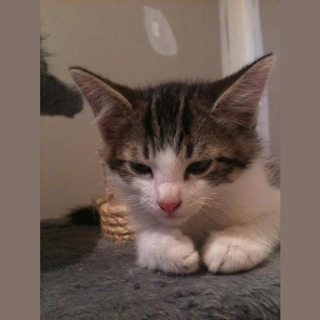 Photo of Sammy