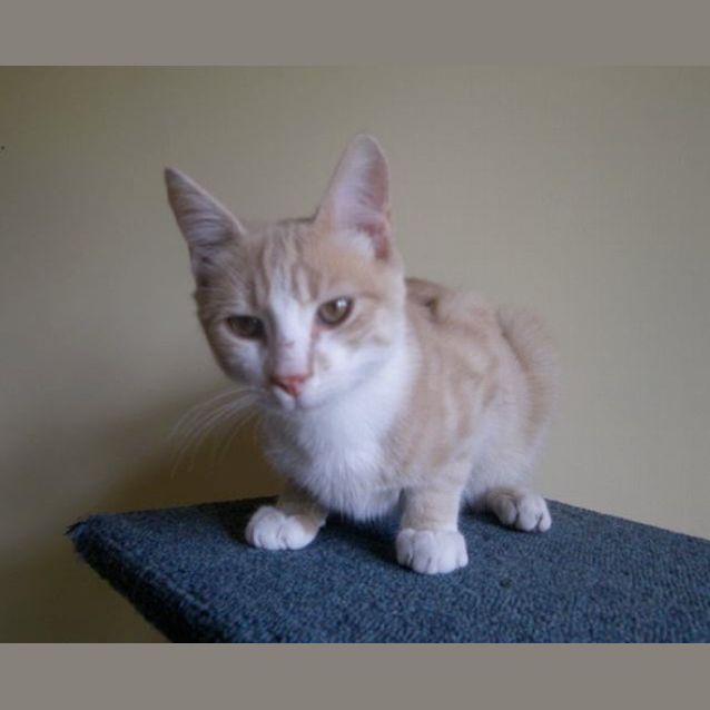 Photo of Oliver