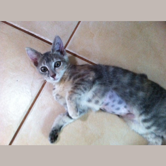 Photo of June