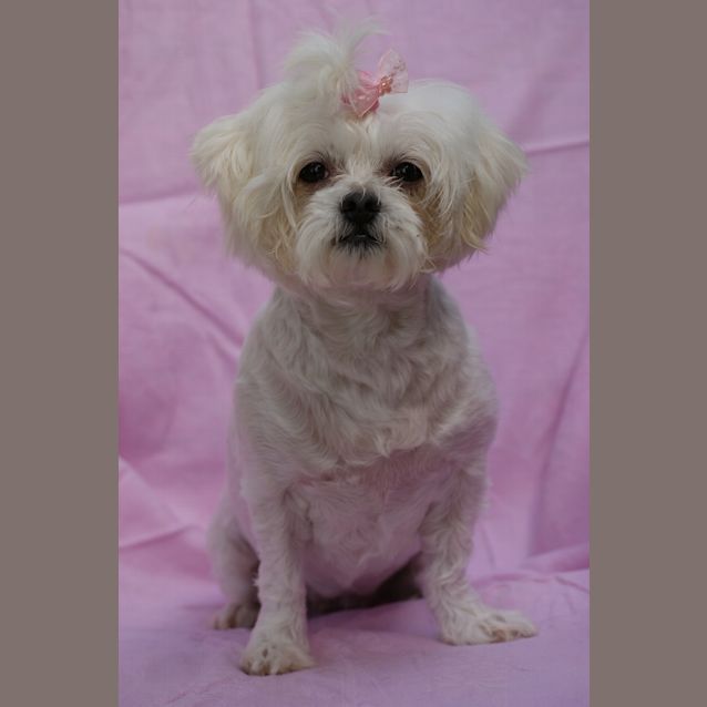 Photo of Chanel