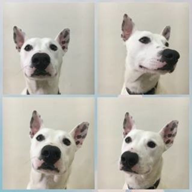 Photo of Spud