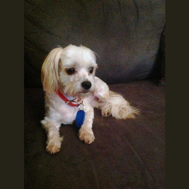 Photo of Izzy