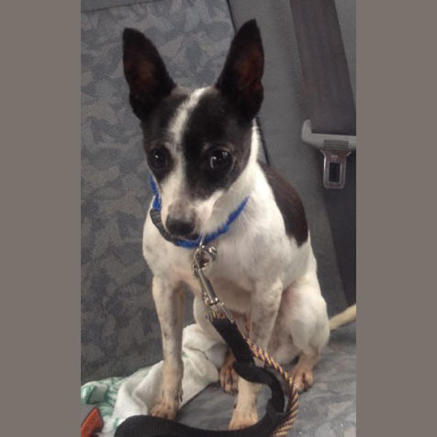 Photo of Daisy Mae Is Trying A New Home!!