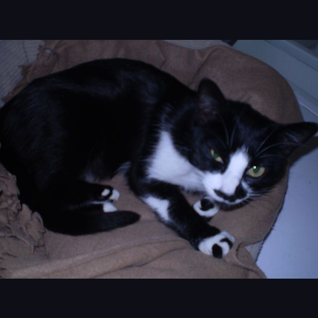 Photo of Lizzy