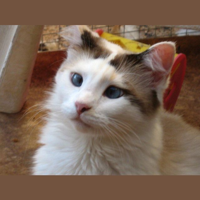 Photo of Macey
