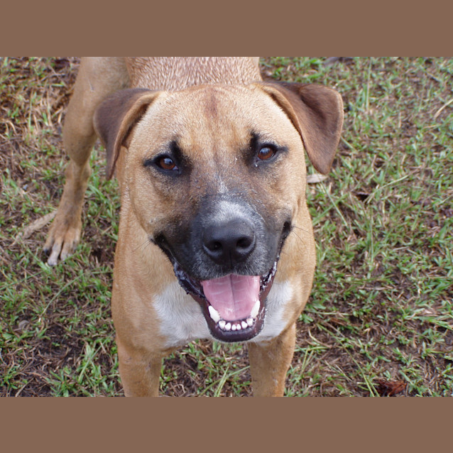 Photo of Kaos