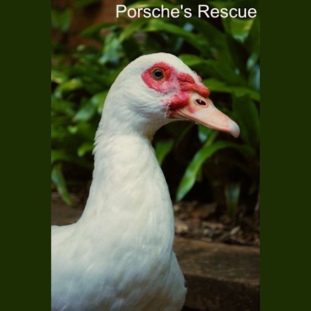 Photo of Jeremy   Urgent