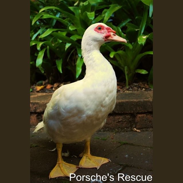 Photo of Jeremy   Urgent