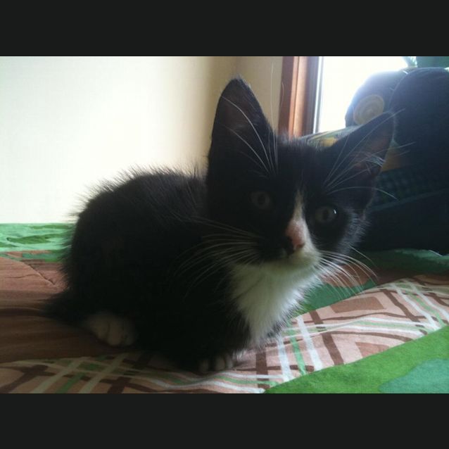 Photo of Bonnie And Clyde   Partners In Cuteness