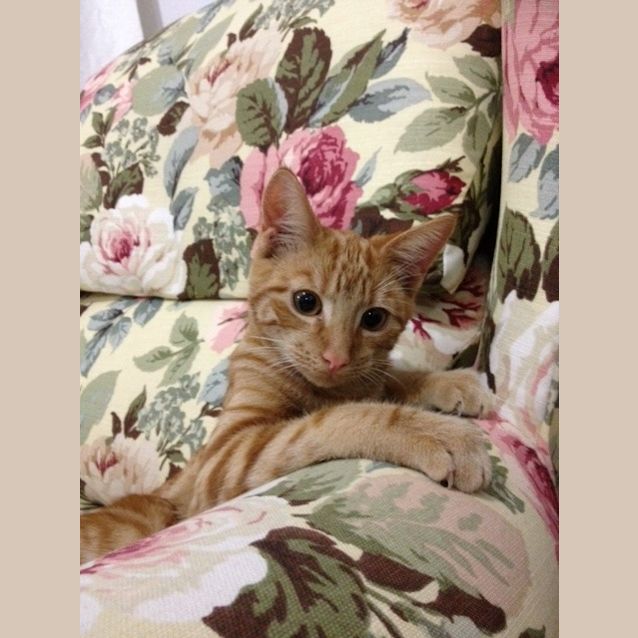 Photo of Walter