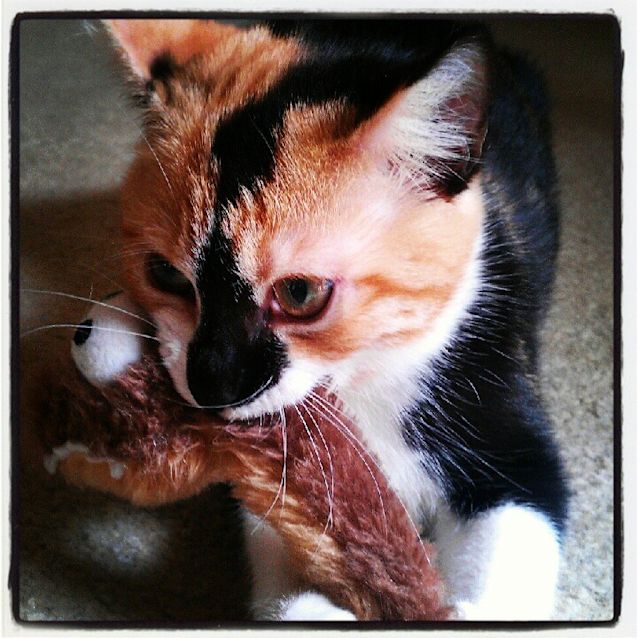 Photo of Edie