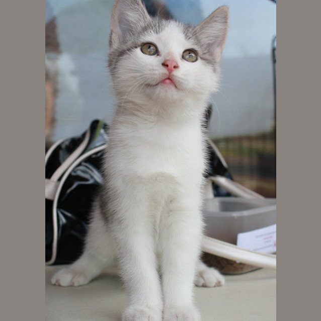 Photo of Annabel