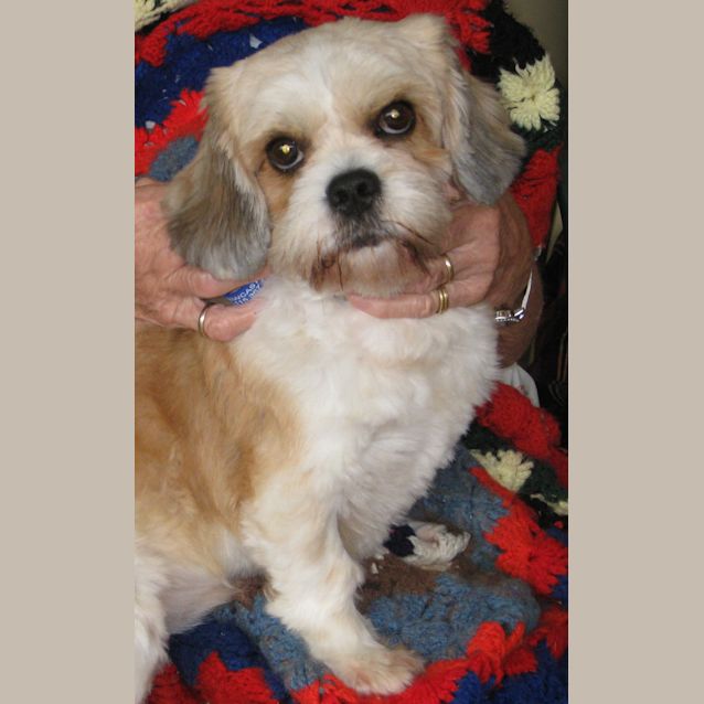 Photo of Rowly (On Trial)