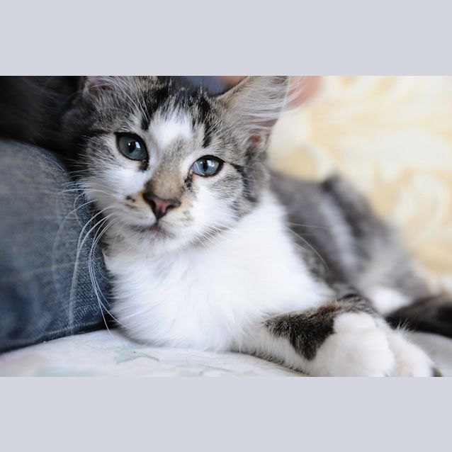 Photo of Wetherby Goode