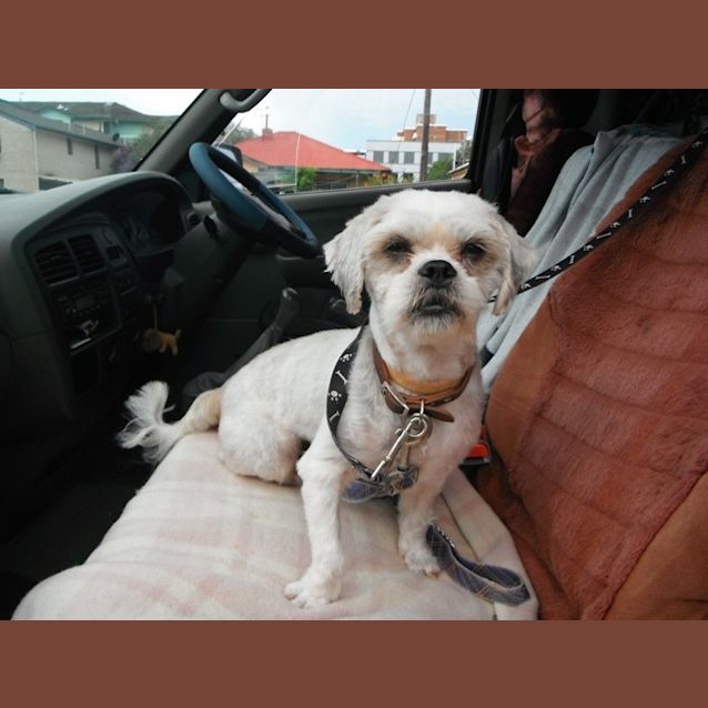 Photo of Teddy