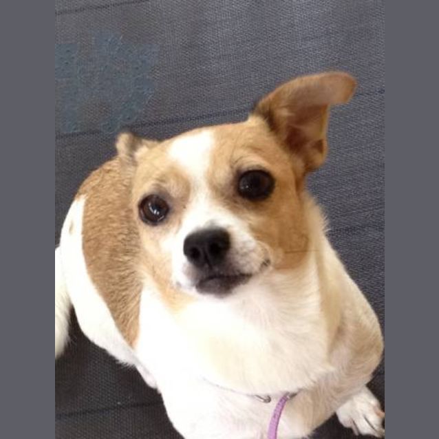 Photo of Hope*On Hold*