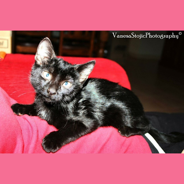Photo of Tip (Nc044) 