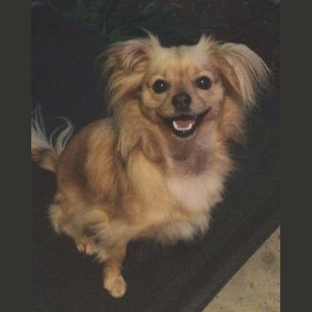 Photo of Chelsea Is Trying A New Home !!