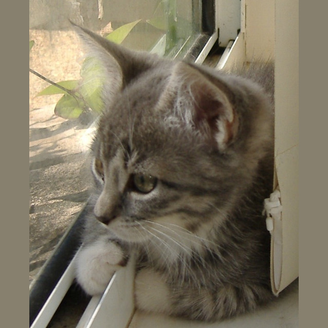 Photo of Tallulah