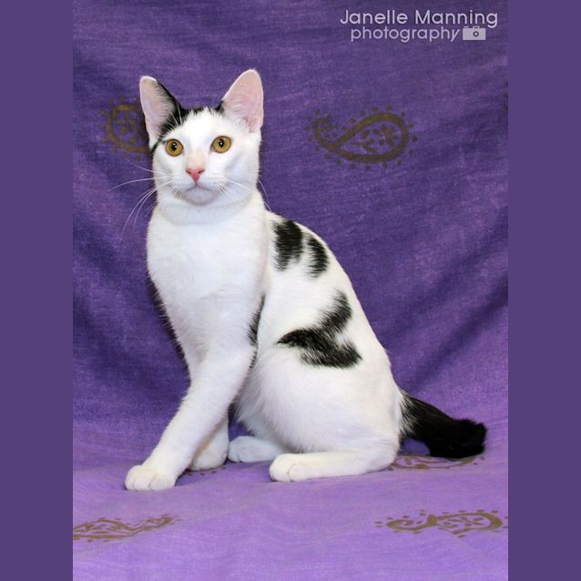 Photo of Gracie