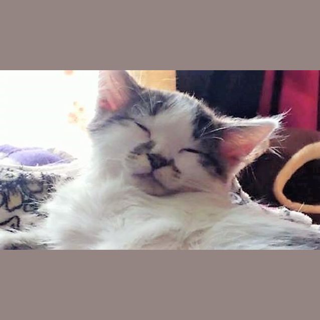 Photo of Squeak