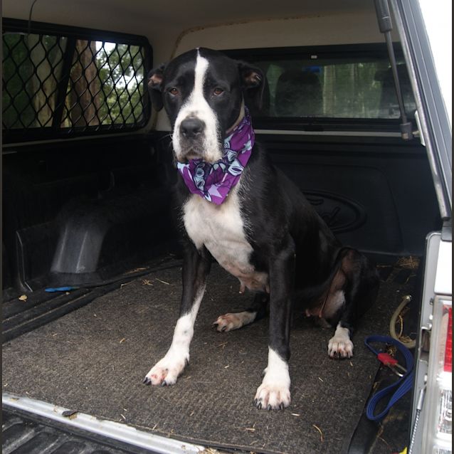 Photo of Maggie (On Trial)