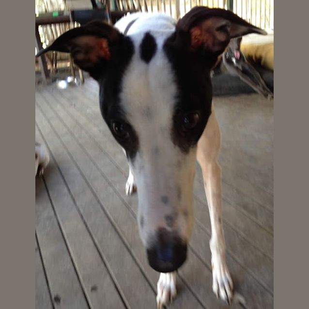 Photo of Uno