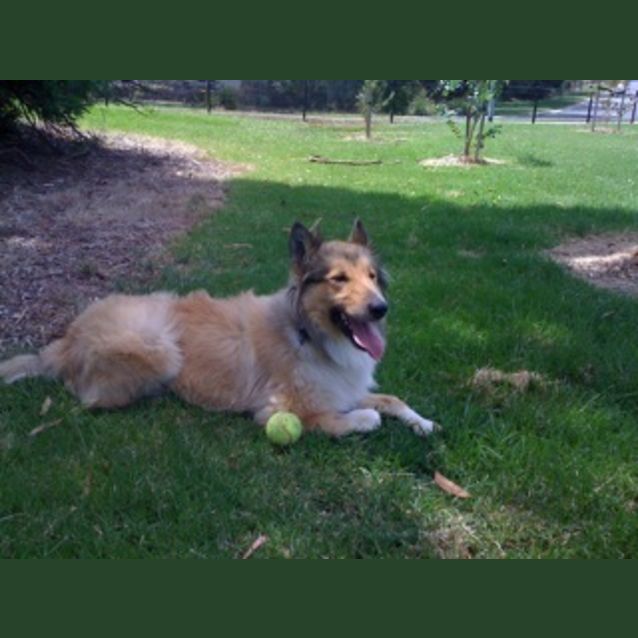 Photo of Cody   *****Is On Trial*****