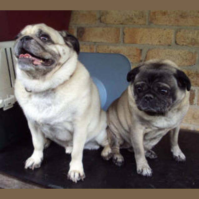 Photo of Polly (And Leo)