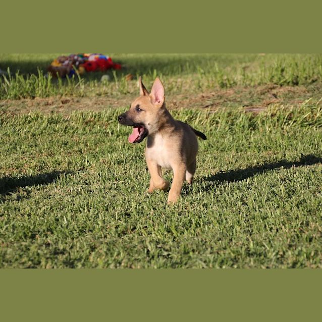 Photo of Nathaniel (Nate)