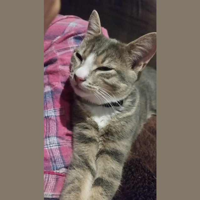 Photo of Ella