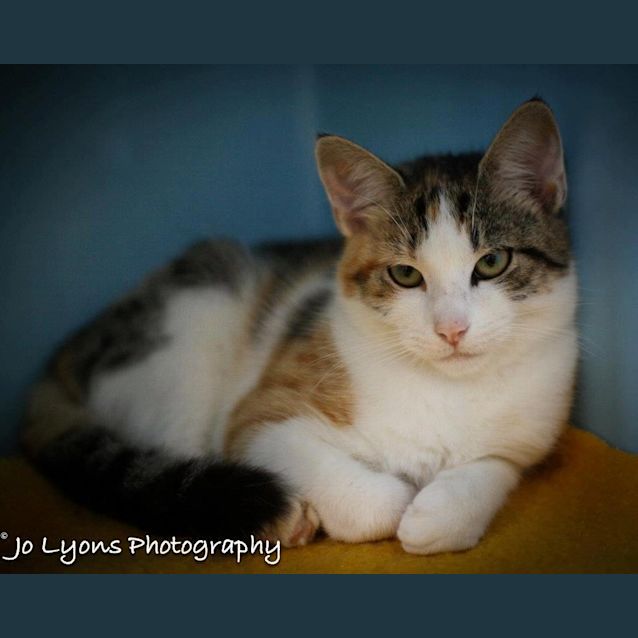 Photo of Lucy