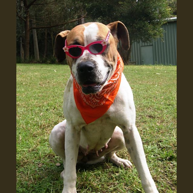 Photo of Gabby (On Trial)