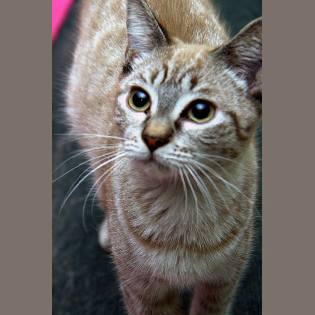 Photo of Leila