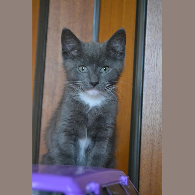 Photo of Monty * On Trial *
