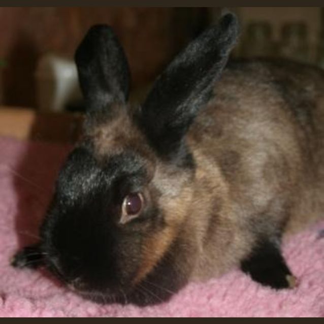 Photo of Cindy