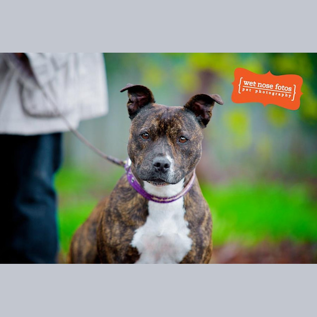 Photo of Annie