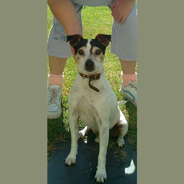 Photo of Reuben (Pets Domain)