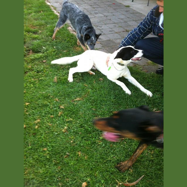 Photo of Major .... *****No More Calls Please****