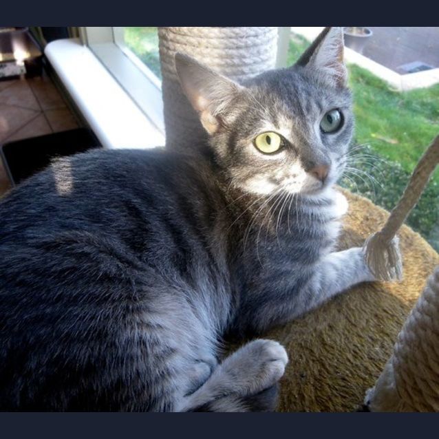 Photo of Dean