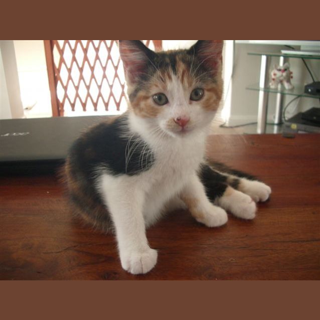 Photo of Molly