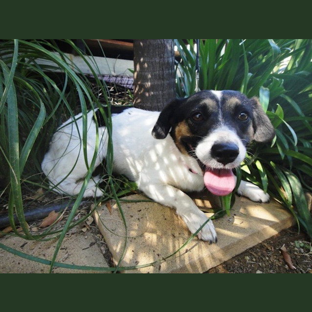 Photo of Kelly (D2110)