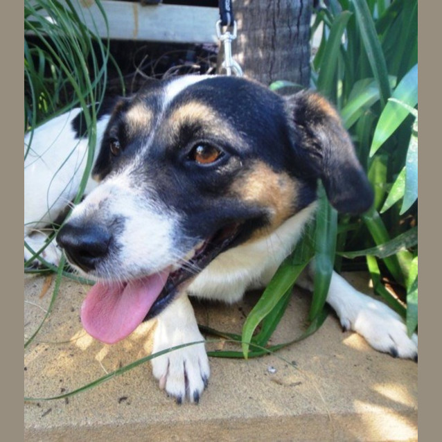 Photo of Kelly (D2110)