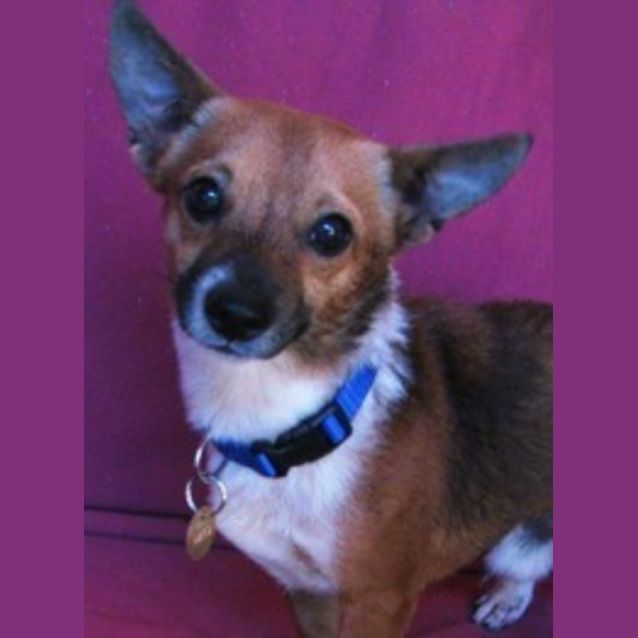 Photo of Tom (D2109)