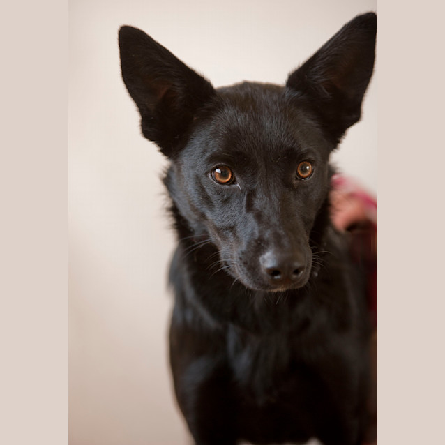 Photo of Lizzie Id 7199