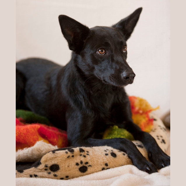 Photo of Lizzie Id 7199